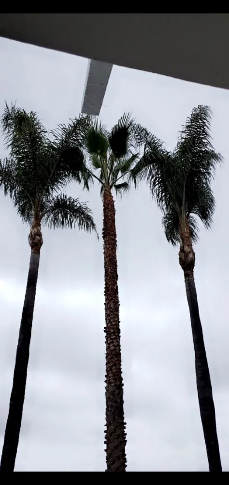 Local garden landscaping for beautiful yards across Vista, CA - Gutierrez Bros Tree Service