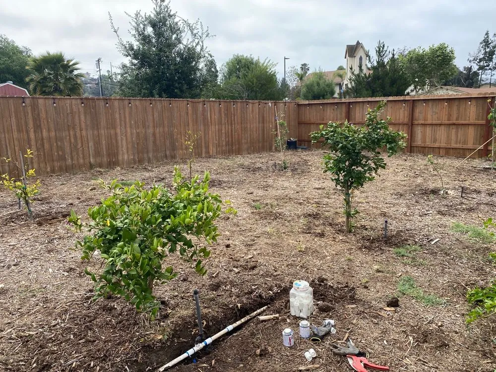 Top-rated residential landscaping near you in Vista, CA by Gutierrez Bros Tree Service