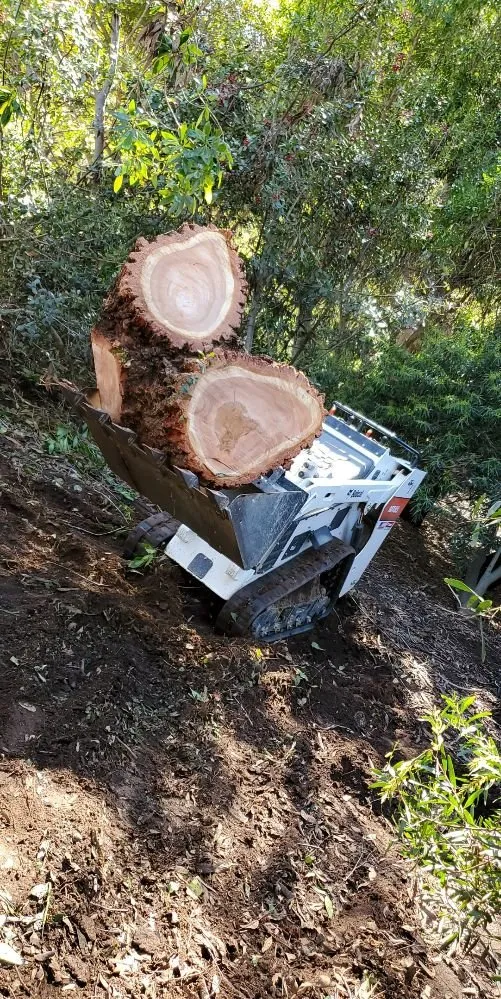 Custom garden landscaping for year-round maintenance across Vista, CA - Gutierrez Bros Tree Service