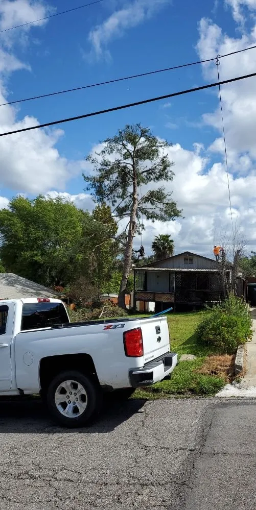 Top-rated lawn care service in Vista, CA by Gutierrez Bros Tree Service