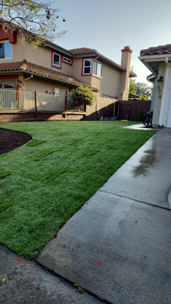 Trusted garden landscaping in Vista, CA - Gutierrez Bros Tree Service