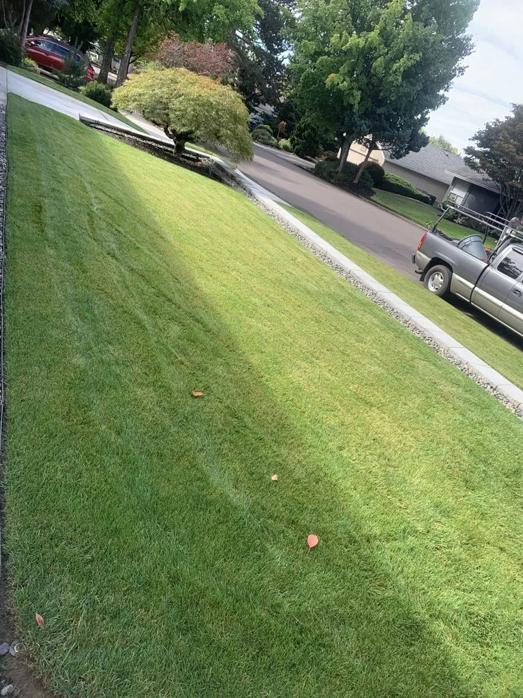 Top-rated yard cleanup service in Hillsboro, OR - Gutierrez Construction & Landscape