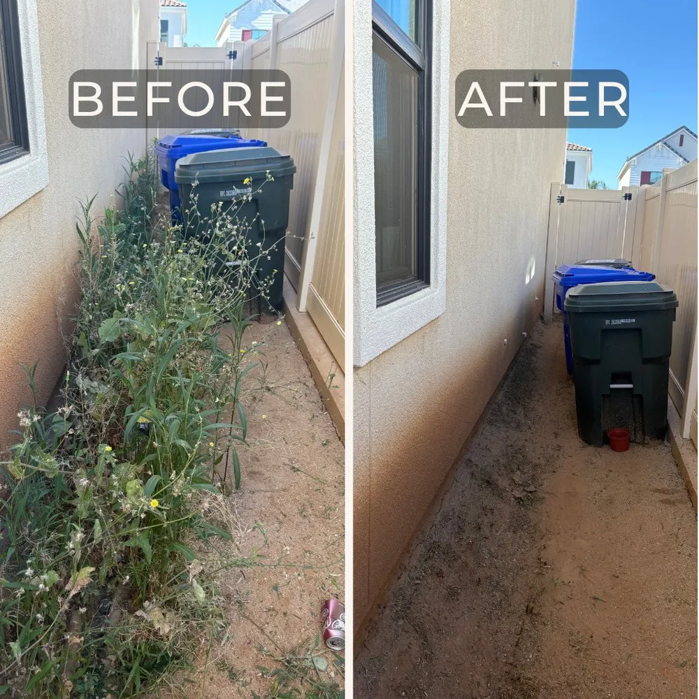 Affordable yard cleanup service experts serving Yucaipa, CA - Gutierrez Gardening & Grounds