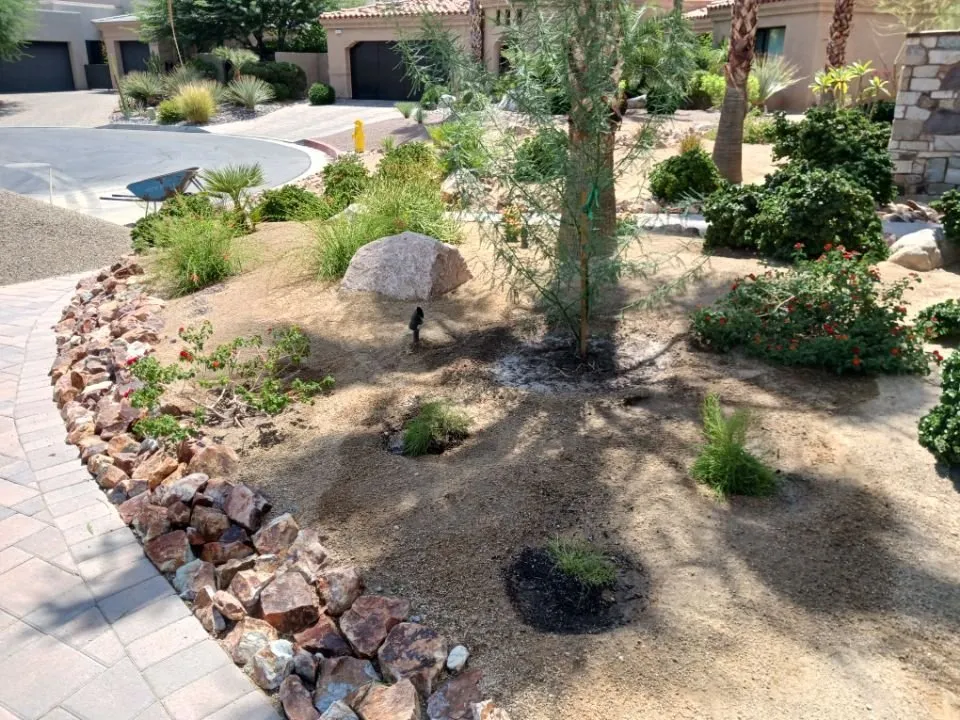 Trusted lawn care service in Coachella, CA - Gutierrez Greenscapes