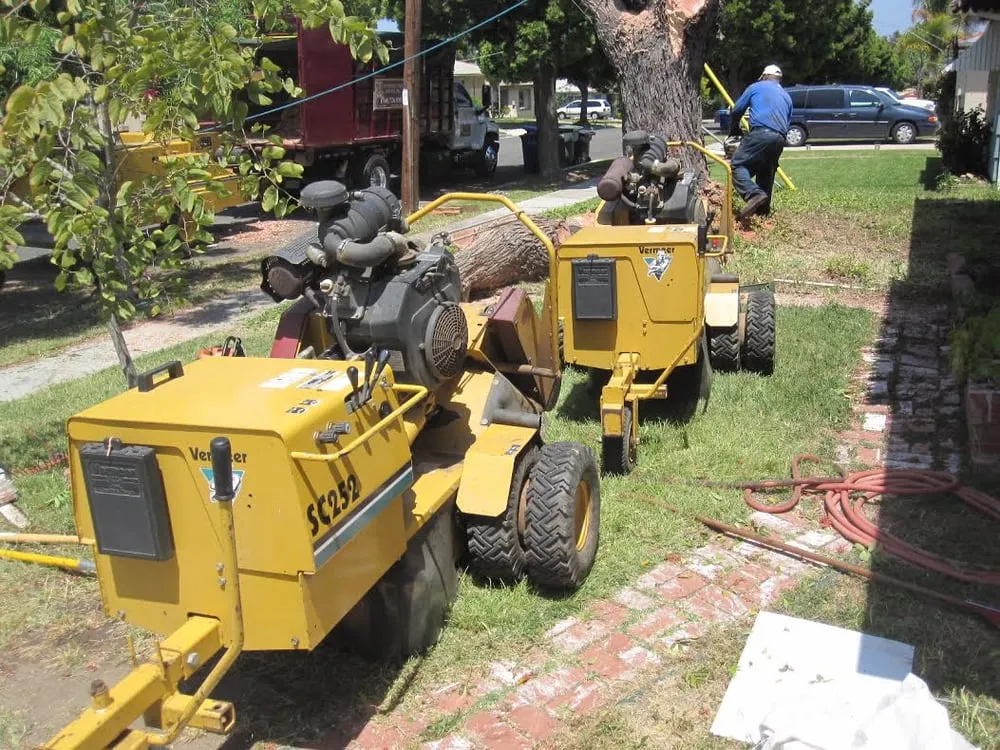 Expert residential landscaping for year-round maintenance across Vista, CA - Gutierrez Landscape & Tree Service