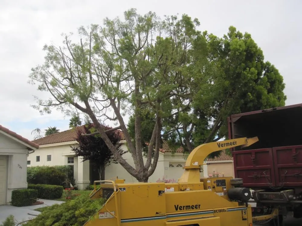 Expert landscape installation for year-round maintenance in Vista, CA by Gutierrez Landscape & Tree Service