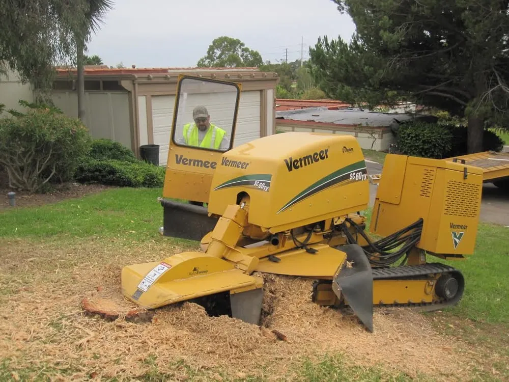Trusted landscaping services experts serving Vista, CA - Gutierrez Landscape & Tree Service