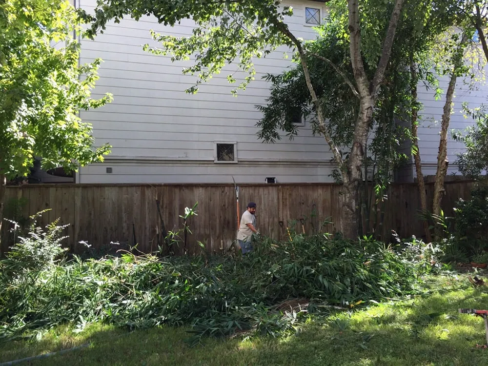 Trusted lawn mowing service experts serving Houston, TX - Gutierrez Landscape and Outdoor Services