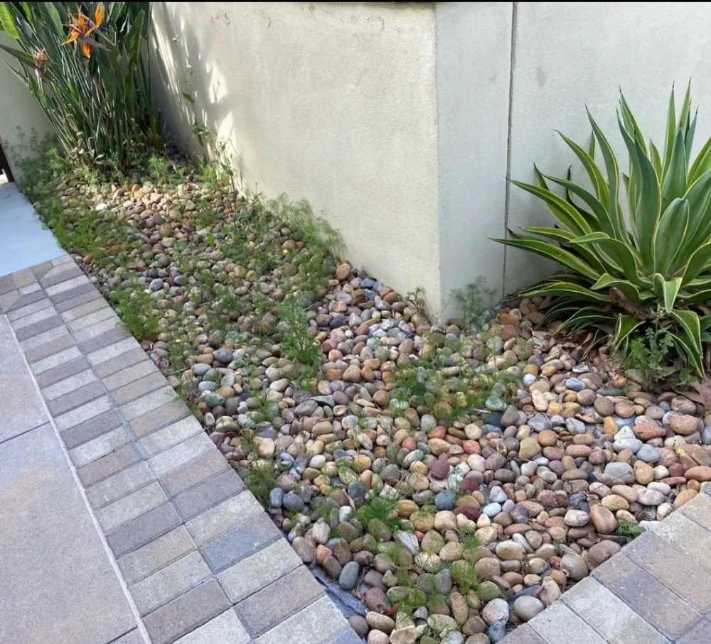 Reliable lawn care service for year-round maintenance across Rancho Santa Margarita, CA - Gutierrez Landscape Services