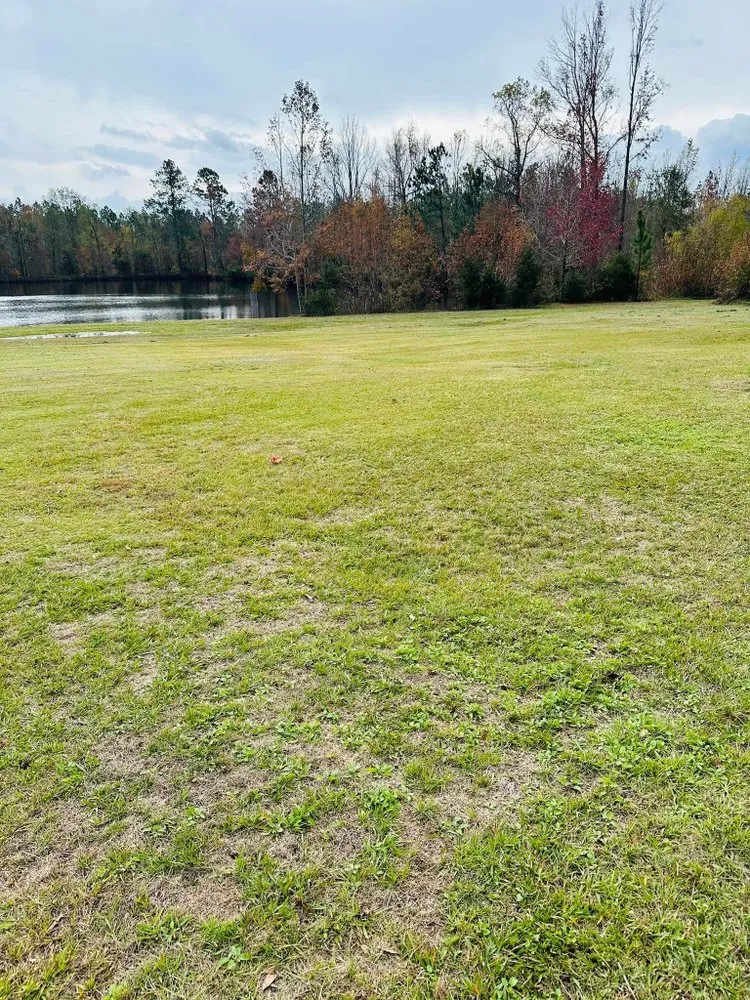 Trusted outdoor landscaping near you in Swainsboro, GA by Gutierrez Landscaping and More