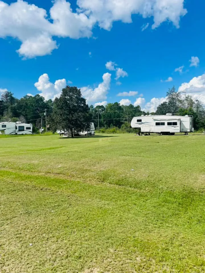 Professional landscaping services for year-round maintenance across Swainsboro, GA - Gutierrez Landscaping and More