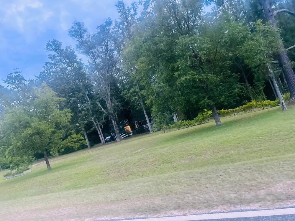 Reliable lawn care service experts serving Swainsboro, GA - Gutierrez Landscaping and More