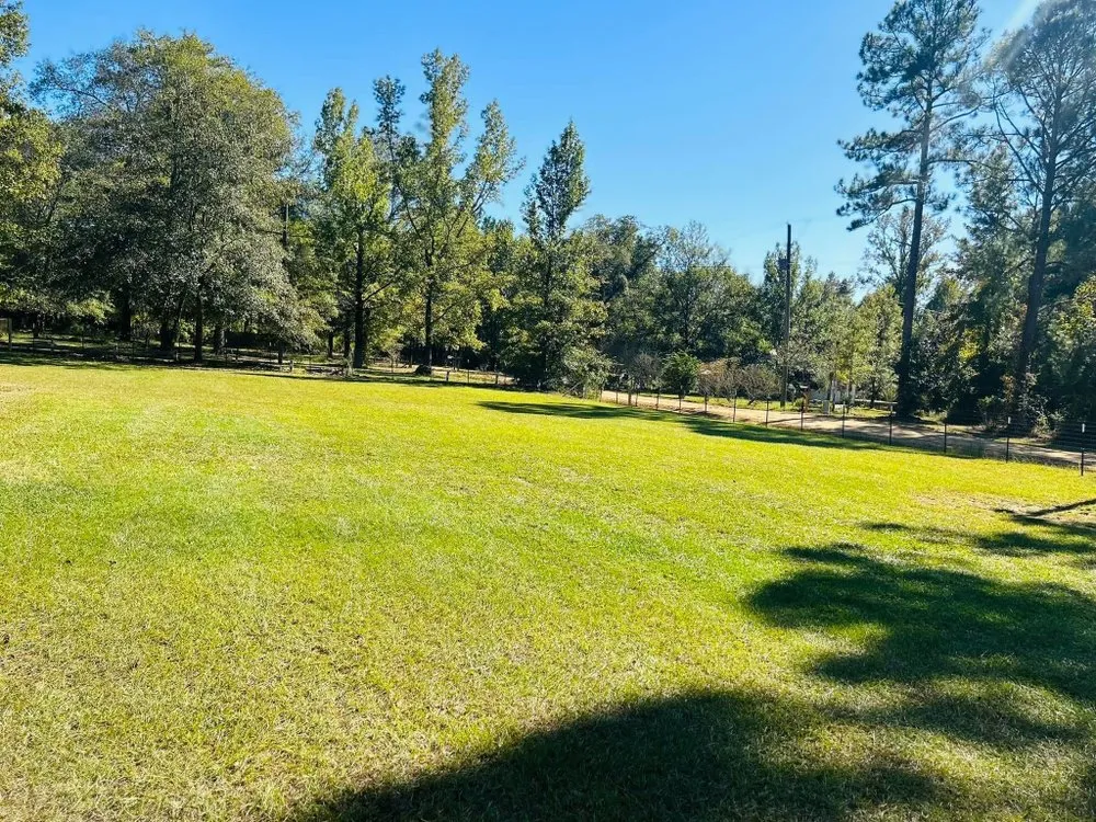 Trusted garden landscaping in Swainsboro, GA by Gutierrez Landscaping and More