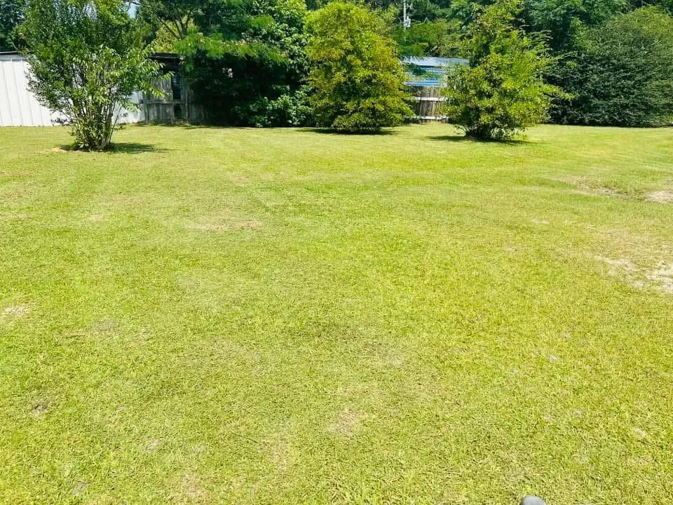 Affordable lawn care service in Swainsboro, GA by Gutierrez Landscaping and More