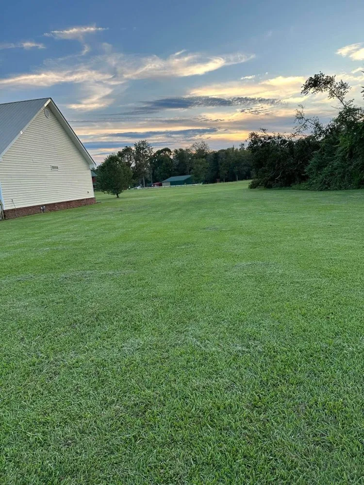 Reliable yard cleanup service in Swainsboro, GA by Gutierrez Landscaping and More