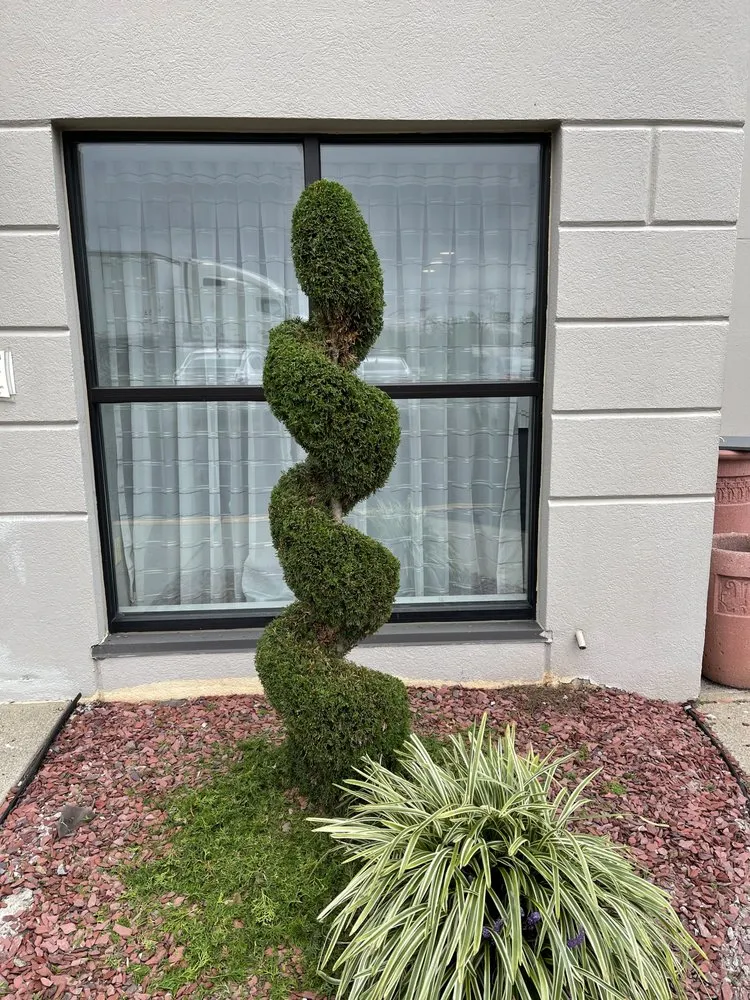 Professional lawn care service for outdoor upgrades in Providence, RI by Gutierrez Landscaping I