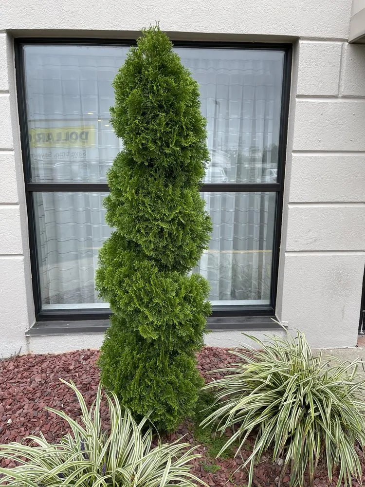 Local lawn mowing service with custom design in Providence, RI by Gutierrez Landscaping I