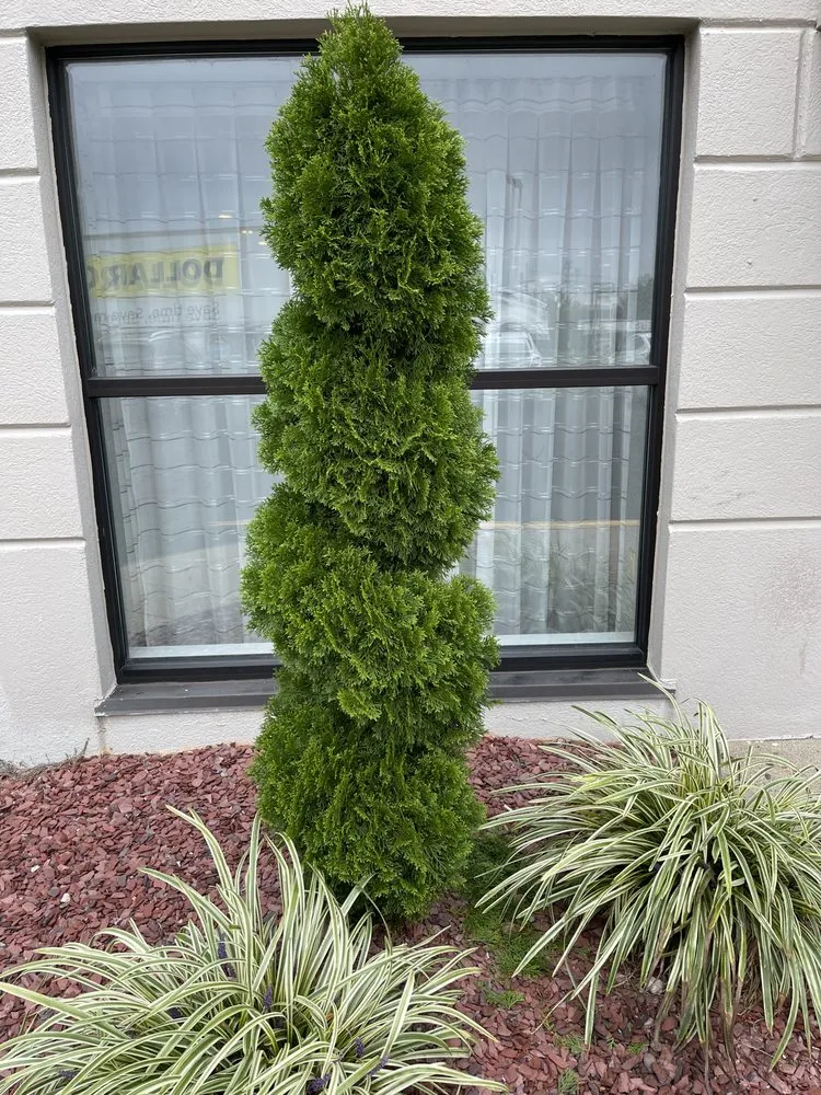 Reliable landscaping services in Providence, RI - Gutierrez Landscaping I