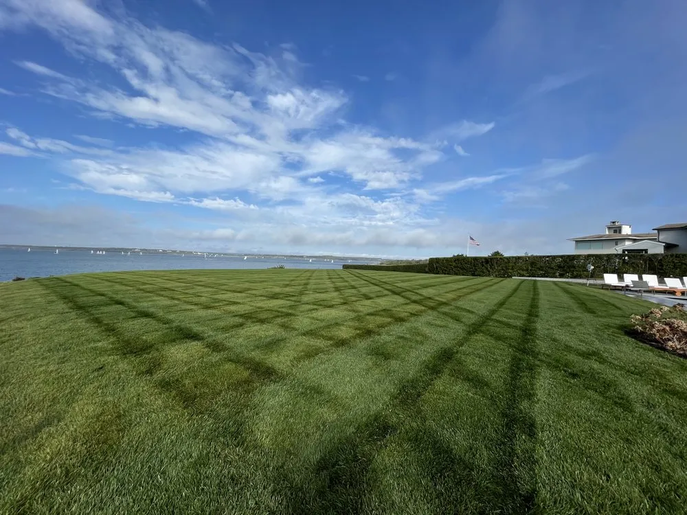 Professional yard cleanup service experts serving Providence, RI - Gutierrez Landscaping I