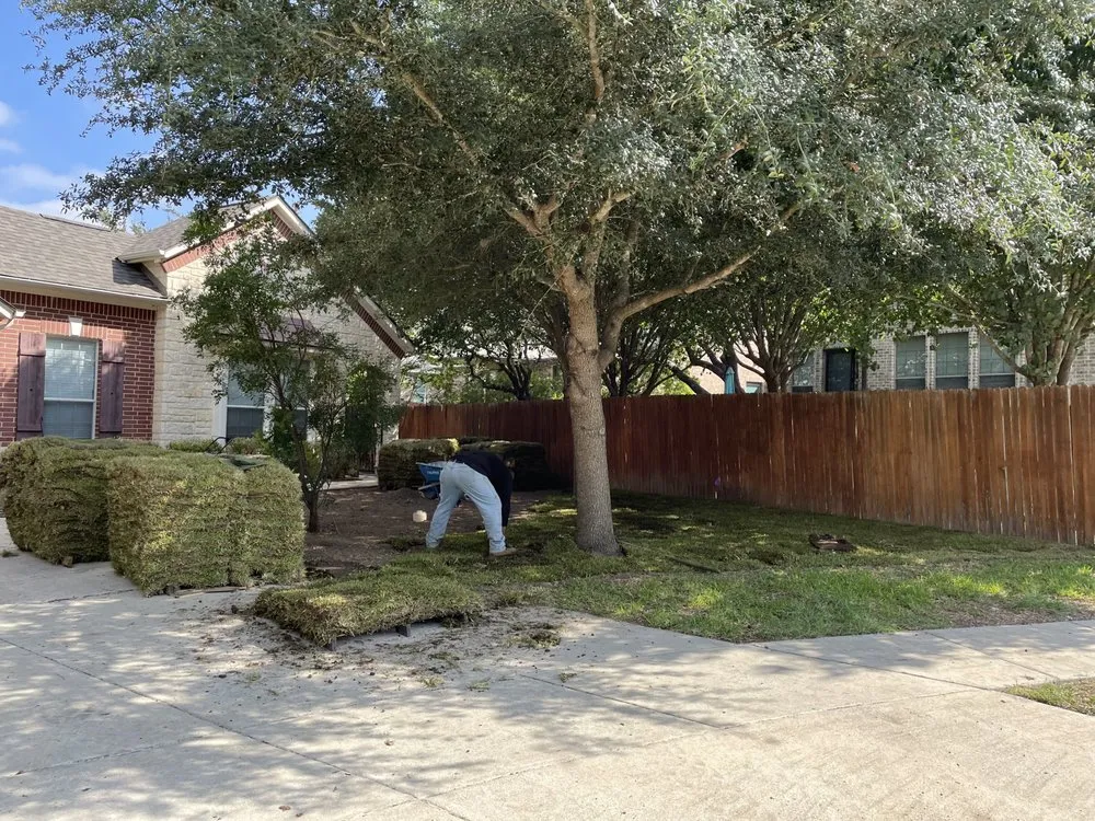 Professional outdoor landscaping in San Antonio, TX - Gutierrez Landscaping