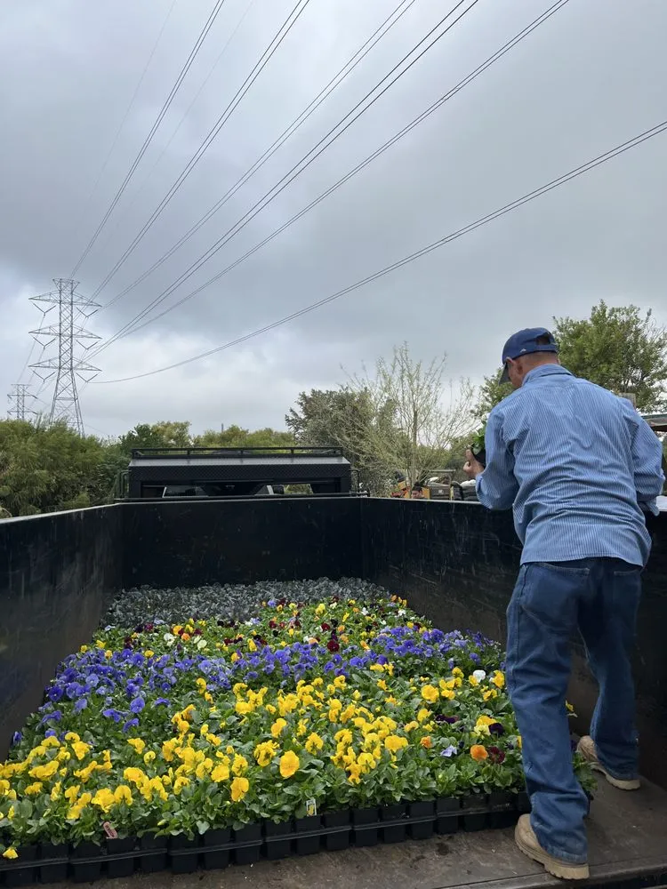 Affordable yard maintenance with custom design in San Antonio, TX by Gutierrez Landscaping