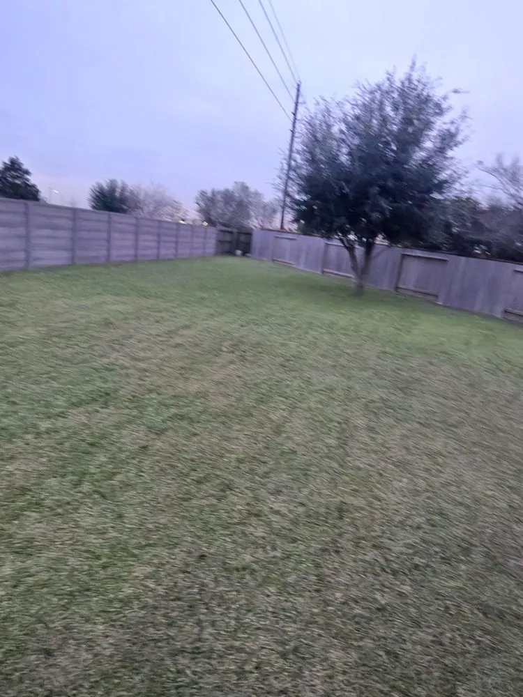 Local yard maintenance for outdoor upgrades across Waller, TX - Gutierrez Landscaping