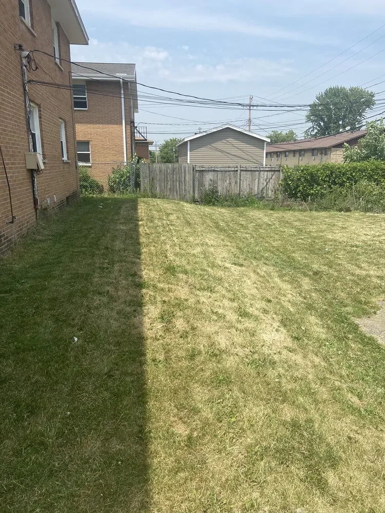 Affordable landscape design in Madison, WI - Gutierrez Lawn Care