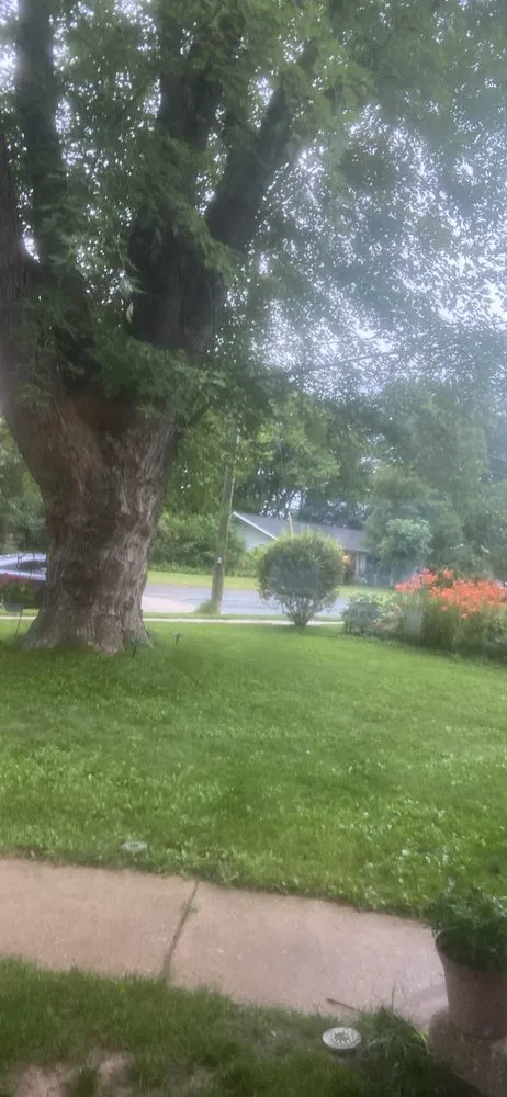 Expert yard cleanup service experts serving Madison, WI - Gutierrez Lawn Care