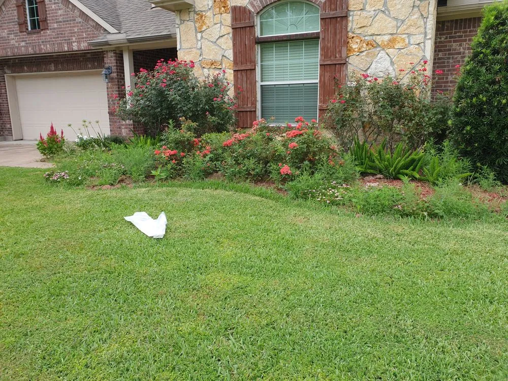 Expert yard cleanup service in La Marque, TX - Gutierrez Lawn Service