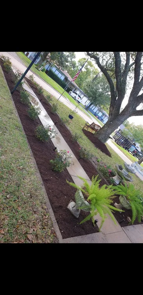 Top-rated outdoor landscaping in La Marque, TX - Gutierrez Lawn Service