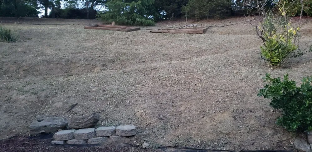 Custom landscaping services for residential properties across Napa, CA - Gutierrez Modern Landscaping