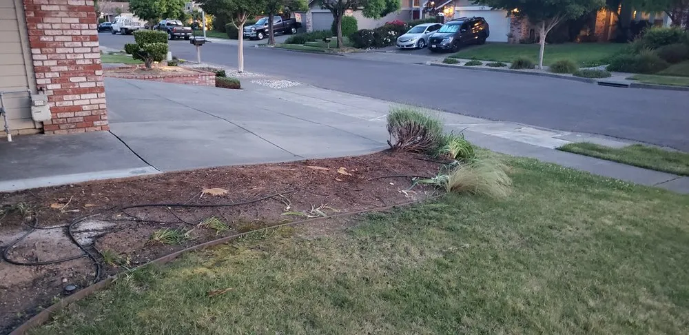 Reliable yard cleanup service experts serving Napa, CA - Gutierrez Modern Landscaping