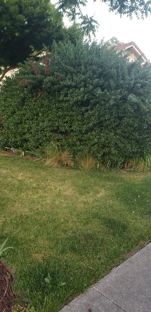 Reliable garden landscaping in Napa, CA by Gutierrez Modern Landscaping