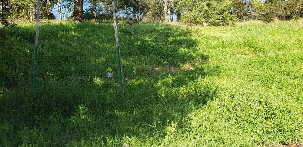 Top-rated garden landscaping for homes across Napa, CA - Gutierrez Modern Landscaping