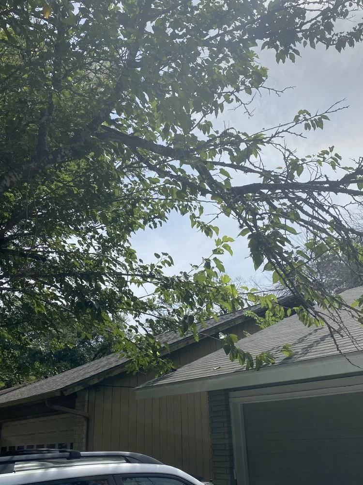 Top-rated lawn mowing service for outdoor upgrades in Round Rock, TX by Gutierrez Professional Lawn Care