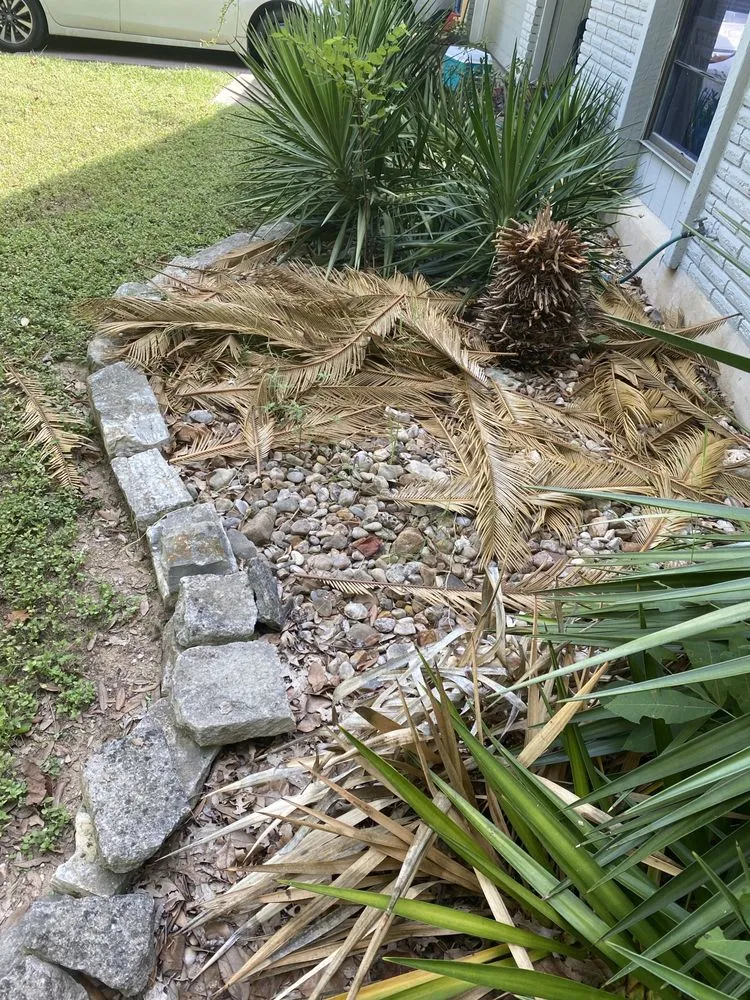 Trusted outdoor landscaping in Round Rock, TX by Gutierrez Professional Lawn Care