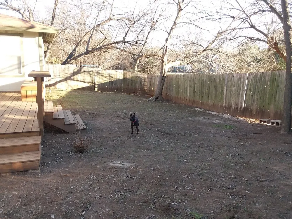 Top-rated yard cleanup service experts serving Round Rock, TX - Gutierrez Professional Lawn Care