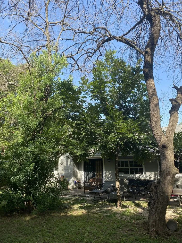 Top-rated lawn care service experts serving Round Rock, TX - Gutierrez Professional Lawn Care