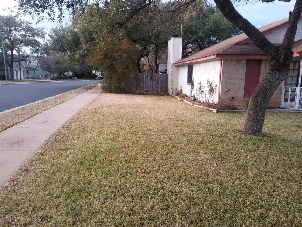 Expert yard cleanup service in Round Rock, TX by Gutierrez Professional Lawn Care
