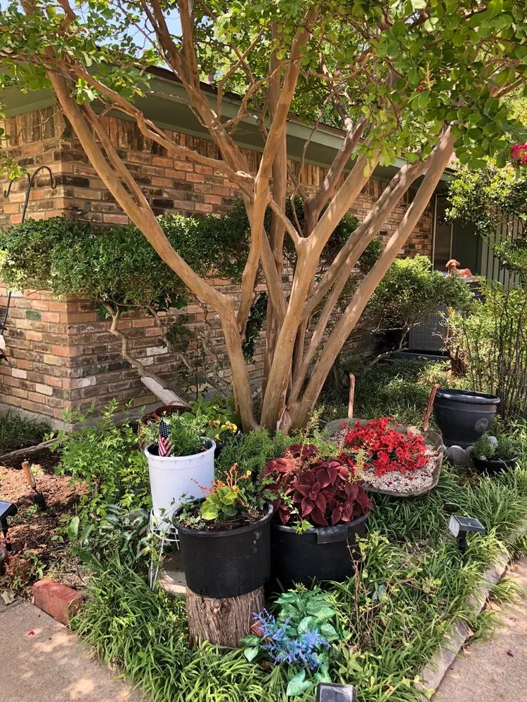 Professional yard cleanup service experts serving Dallas, TX - Gutierrez Property Maintenance