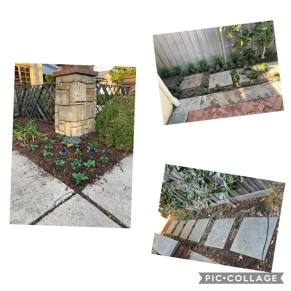 Trusted landscaping services for homes in Dallas, TX by Gutierrez Property Maintenance