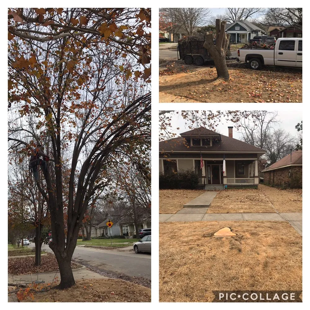 Professional residential landscaping for residential properties in Dallas, TX by Gutierrez Property Maintenance