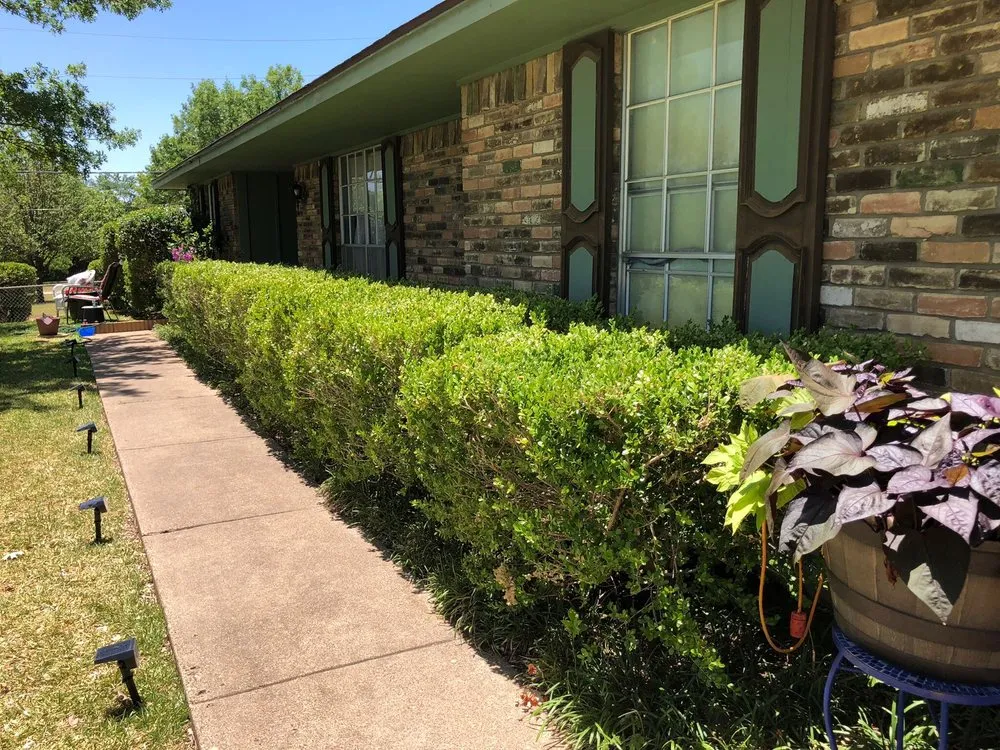 Expert landscape installation for homes in Dallas, TX by Gutierrez Property Maintenance