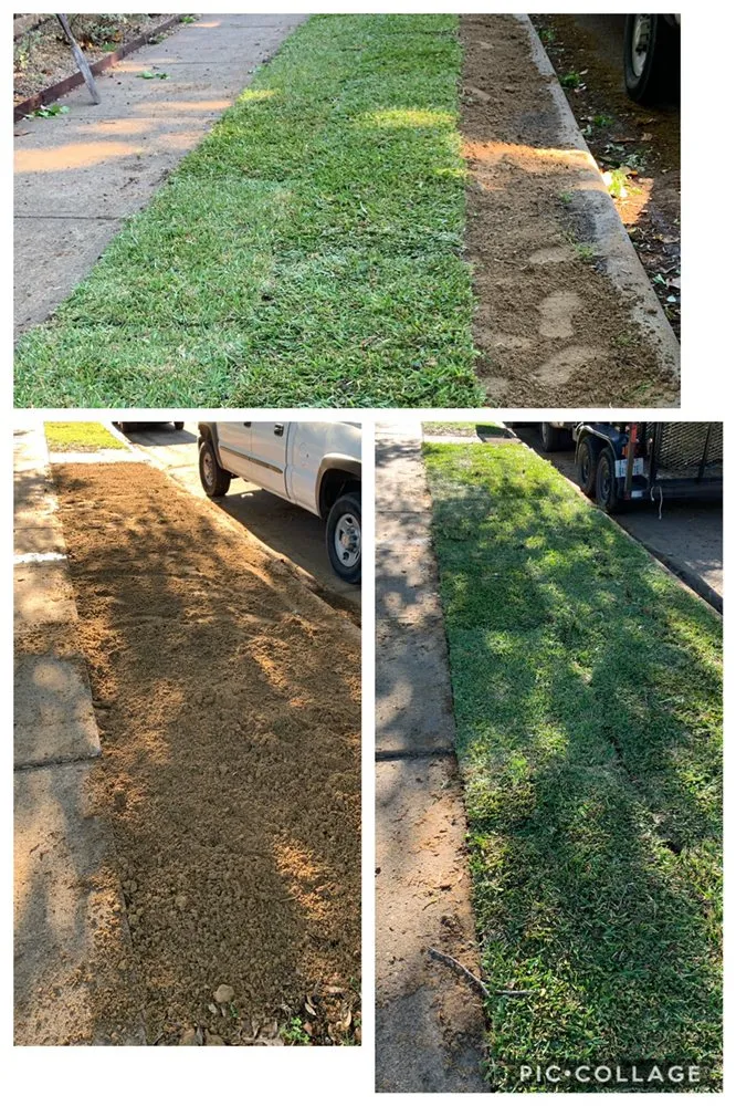 Expert lawn care service experts serving Dallas, TX - Gutierrez Property Maintenance