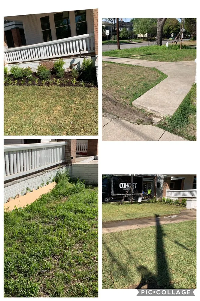 Affordable lawn mowing service for year-round maintenance in Dallas, TX by Gutierrez Property Maintenance