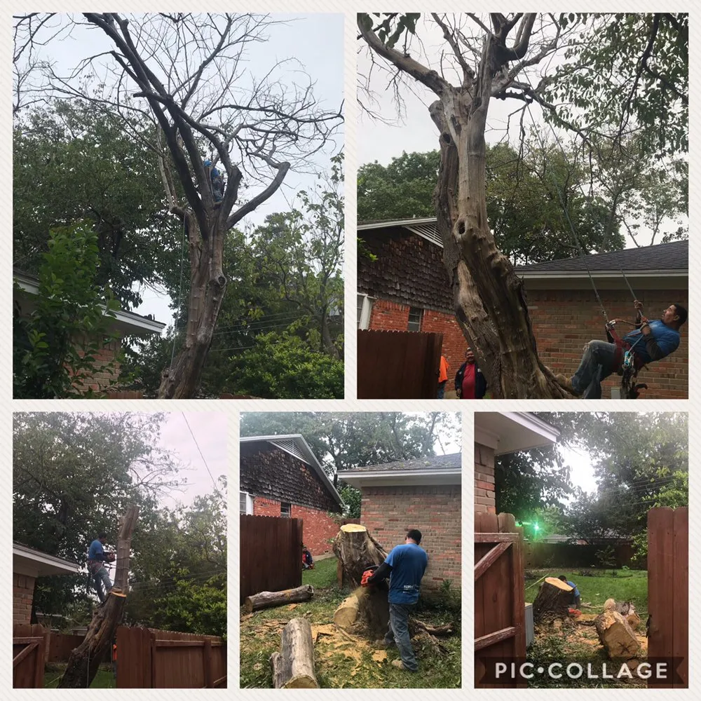 Reliable yard cleanup service for residential properties across Dallas, TX - Gutierrez Property Maintenance