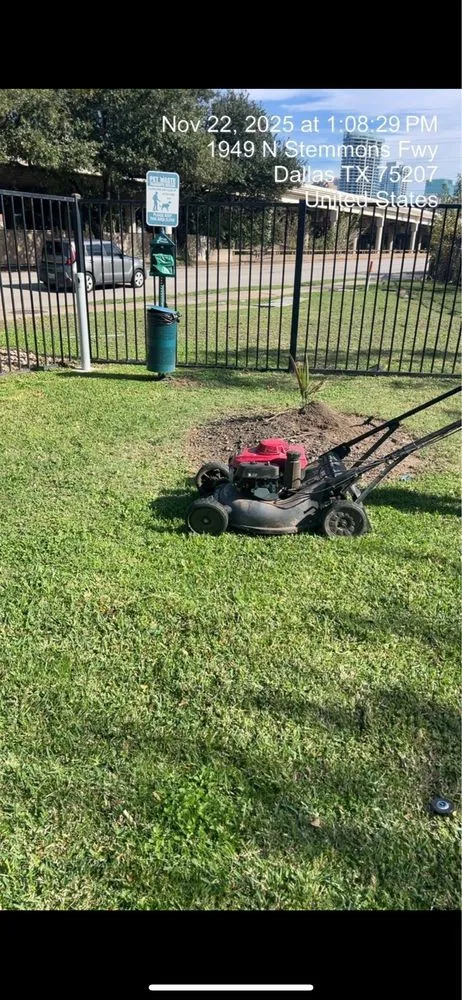 Professional lawn mowing service for year-round maintenance in Dallas, TX by Gutierrez Property Maintenance