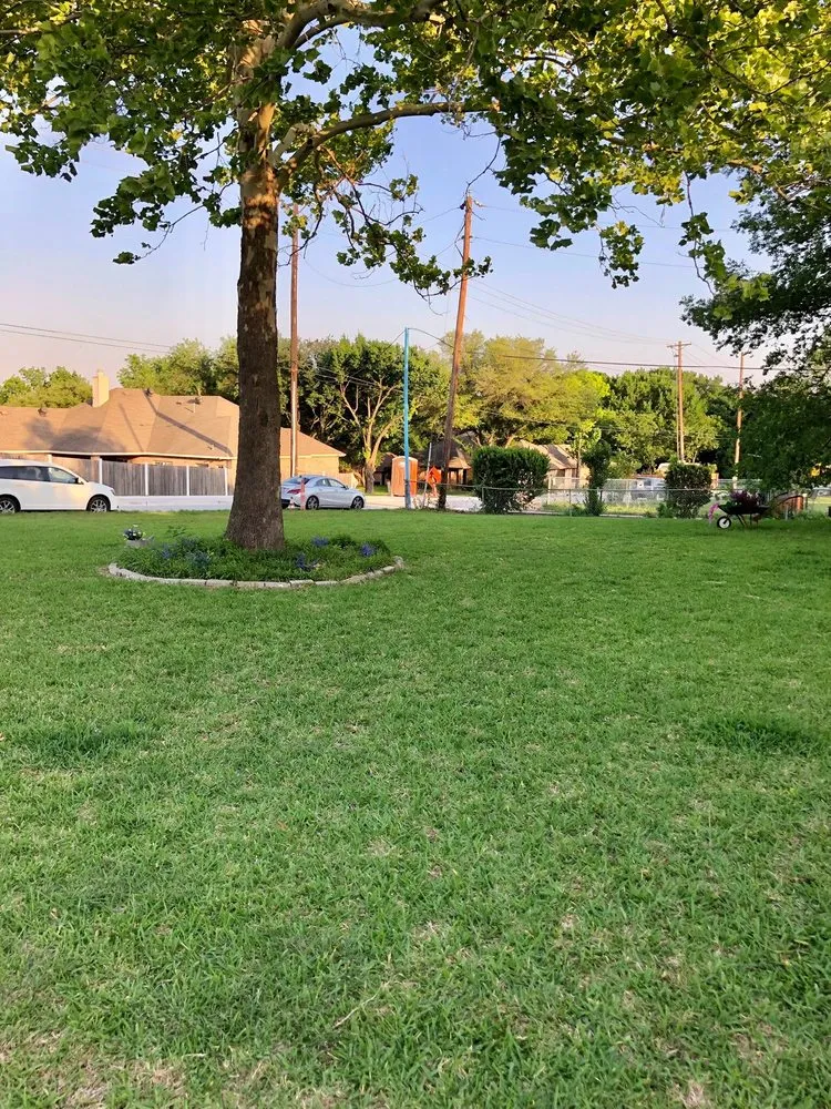 Professional outdoor landscaping for outdoor upgrades across Dallas, TX - Gutierrez Property Maintenance