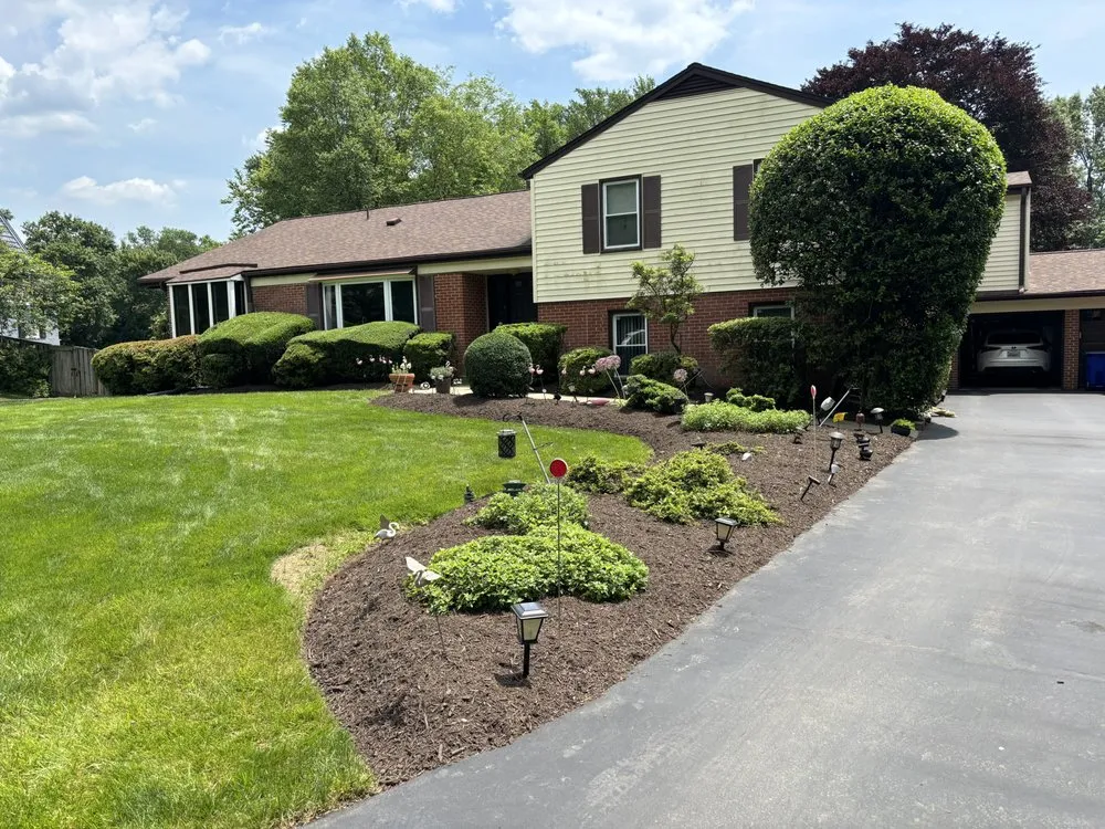 Professional yard cleanup service in Gaithersburg, MD - Gutierrez Rivas Landscaping