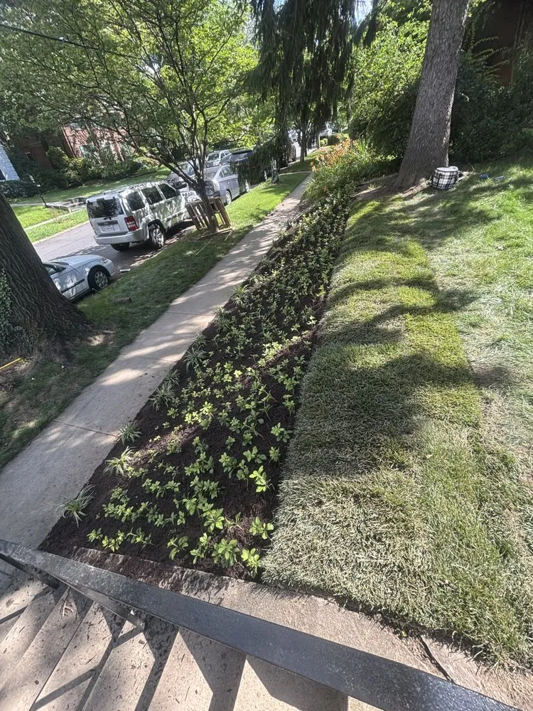Reliable landscape installation in Gaithersburg, MD - Gutierrez Rivas Landscaping